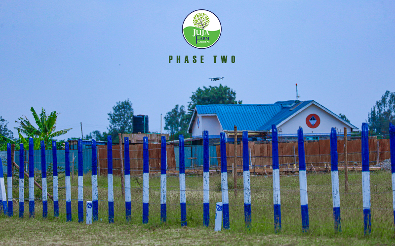 Affordable Plots for sale in Juja Farm | Jujafarm Gardens Phase 2 